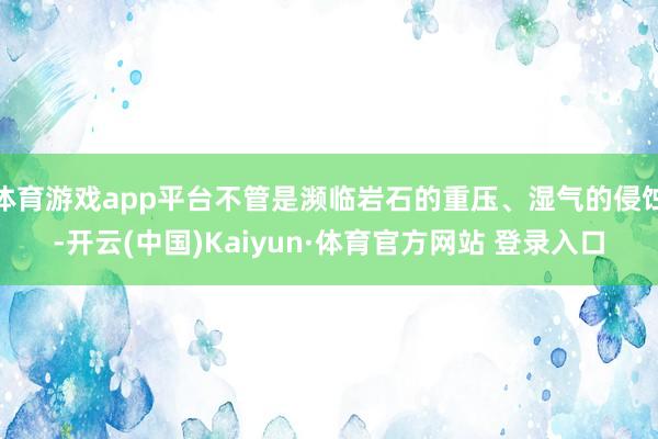 体育游戏app平台不管是濒临岩石的重压、湿气的侵蚀-开云(中国)Kaiyun·体育官方网站 登录入口